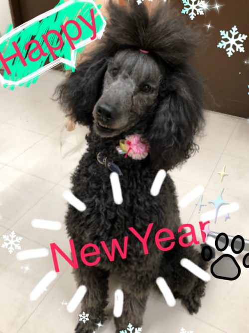 HAPPY　NEW　YEAR☆★☆★