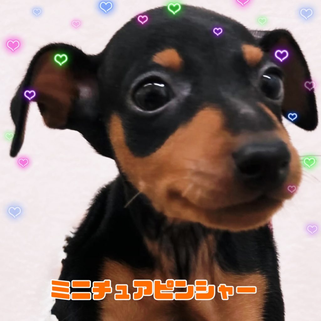 新入生のご紹介です