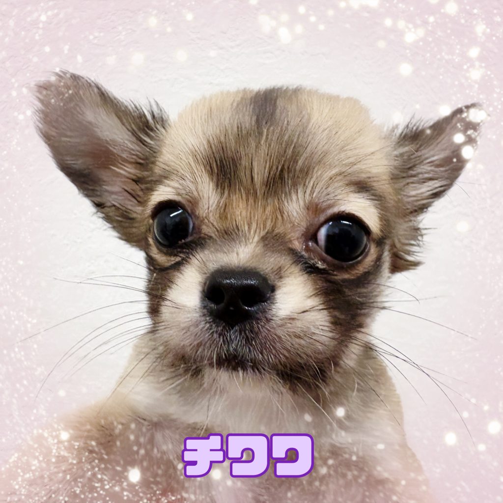 新入生のご紹介です