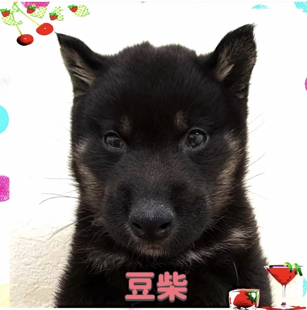 新入生のご紹介です